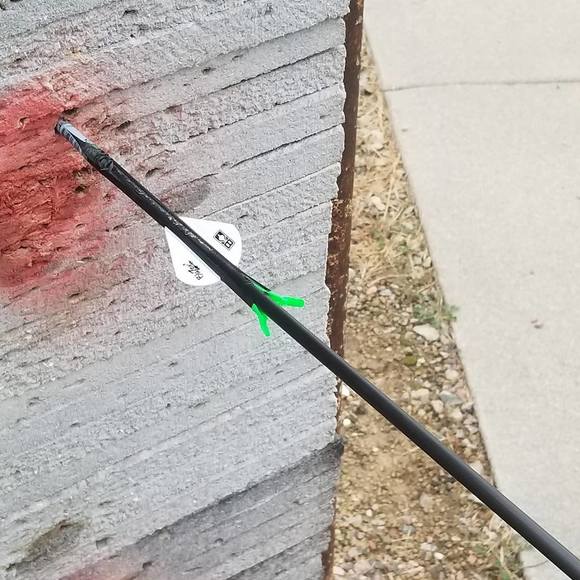 Meet your Posher, Kyle - Picture 1 of 1